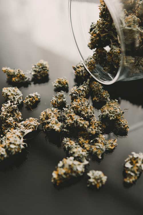 Cannabis Laboratories in Canada: Putting Your Buds to the Test: